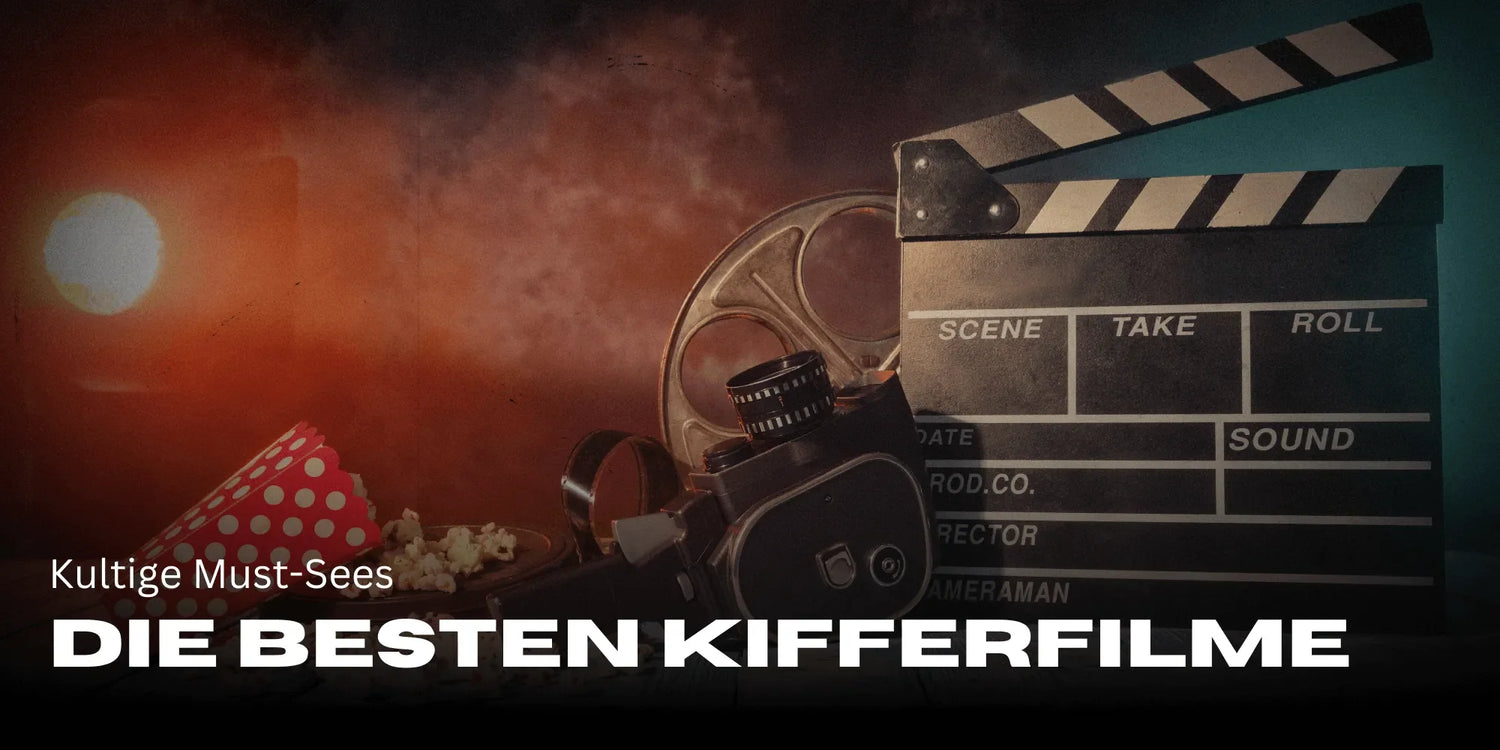 Die besten Kifferfilme aller Zeiten â Kultige Must-Sees-Smagro GmbH