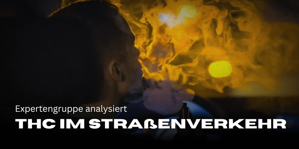 Expertengruppe analysiert THC-Grenzwerte im Straßenverkehr