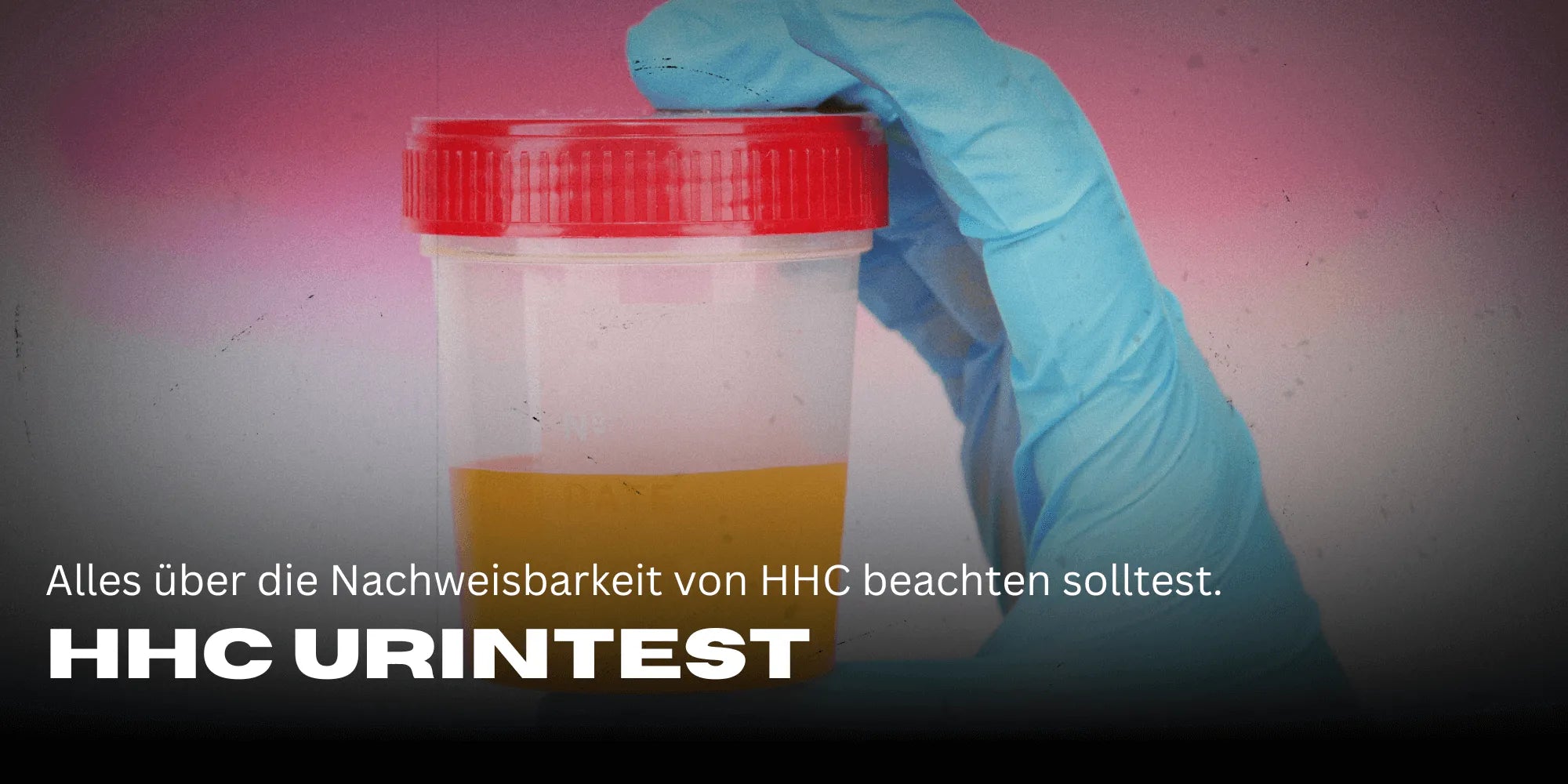 Wie lange ist HHC im Urin nachweisbar? Wie lange ist HHC im Urin nachweisbar?