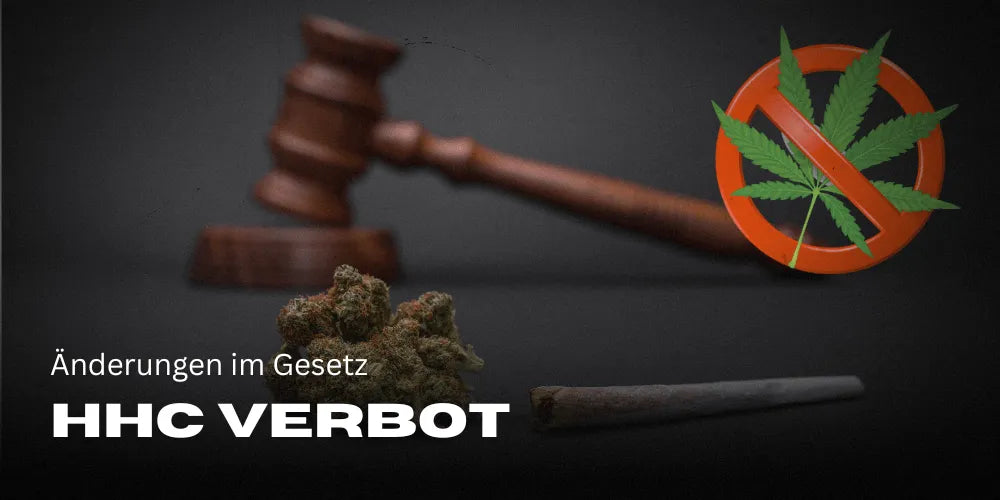 Cannabis synthethische Cannabinoide HHC Verbot