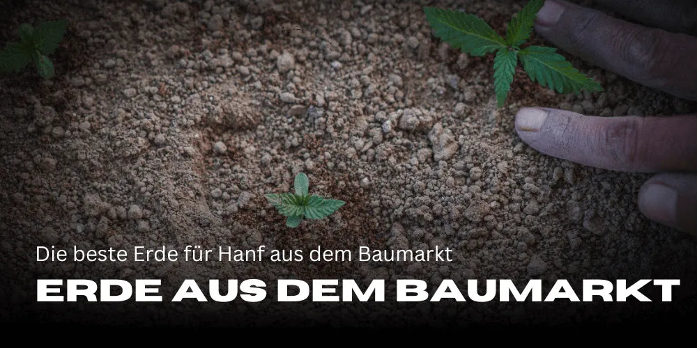 Beste Erde Fr Hanf Baumarkt