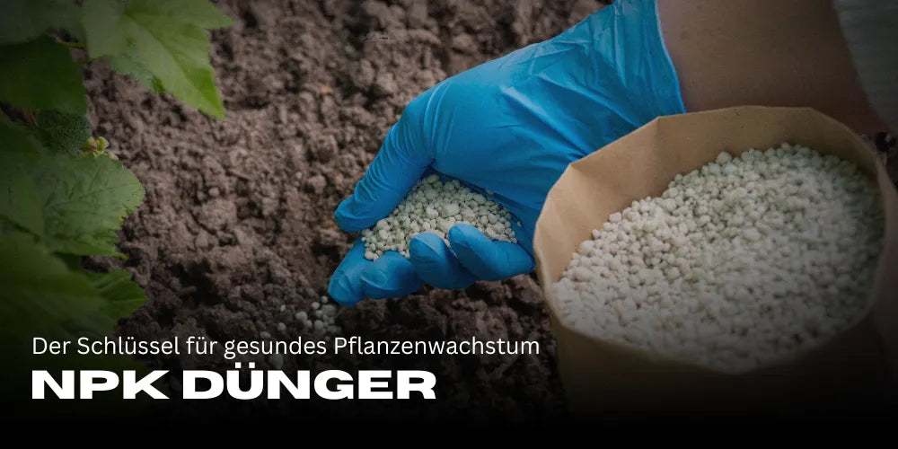NPK Dnger: Alles, was du fr ein gesundes Wachstum brauchst