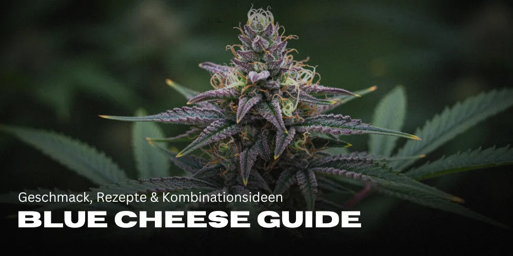 Blue Cheese Guide: Geschmack, Rezepte & Kombinationsideen-Smagro GmbH