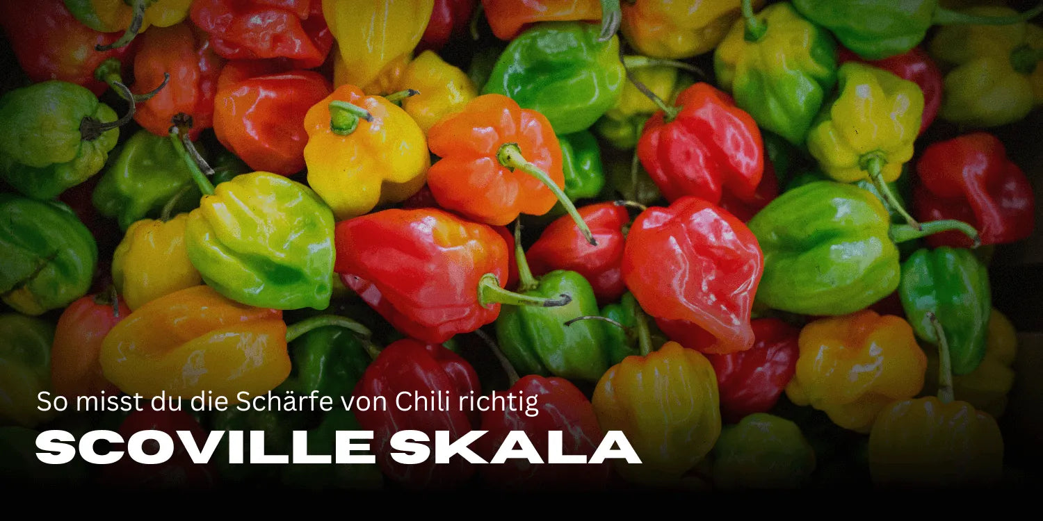 Scoville Skala: So misst du die Schärfe von Chili richtig