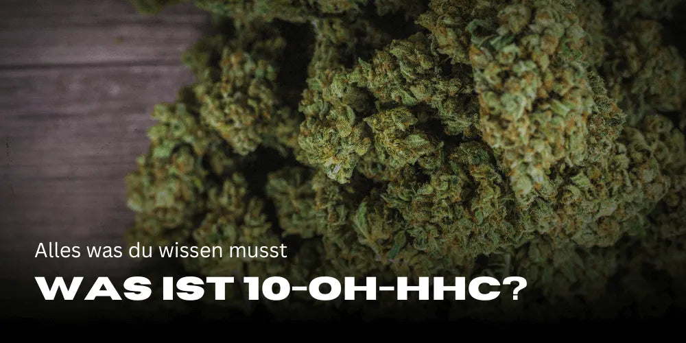 Was ist 10-OH-HHC: Vorteile & Wirkung Was ist 10-OH-HHC: Vorteile & Wirkung