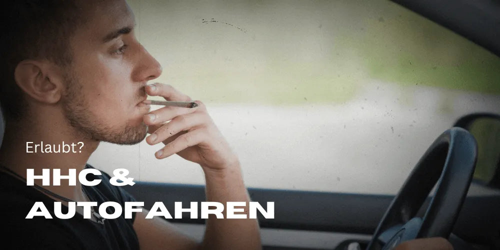 hhc vape auto fahren Autofahren nach HHC Konsum main image 0