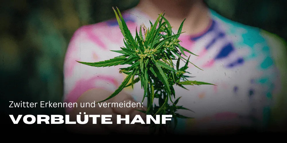 dnger fr kbelpflanzen Purgrn Kbelpflanzendnger 1 Liter
