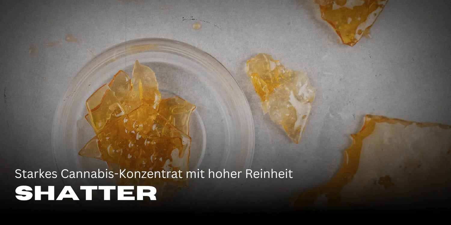 Shatter: Starkes Cannabis-Konzentrat mit hoher Reinheit-Smagro GmbH