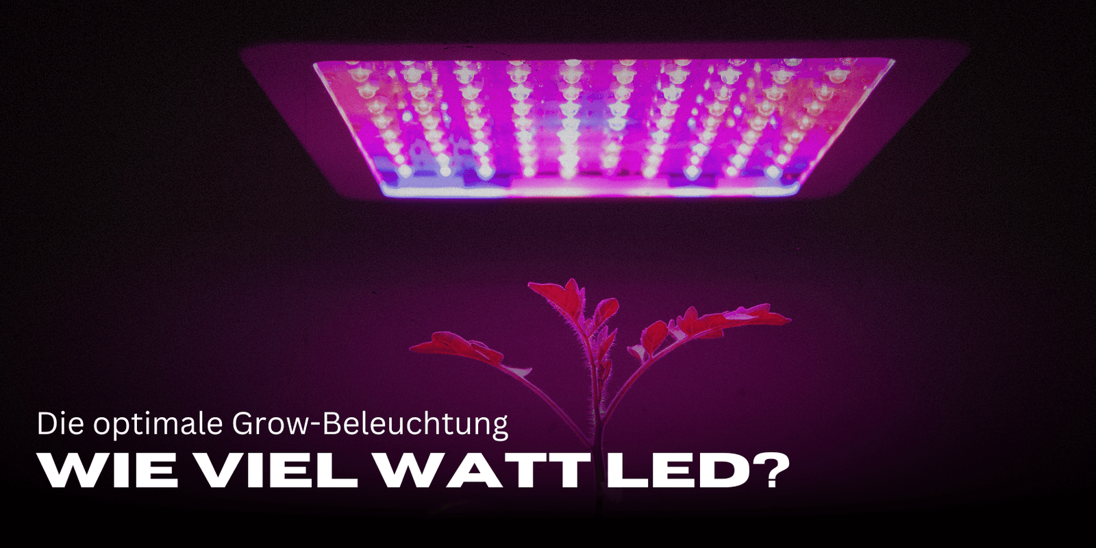 Wie viel Watt LED pro m²?