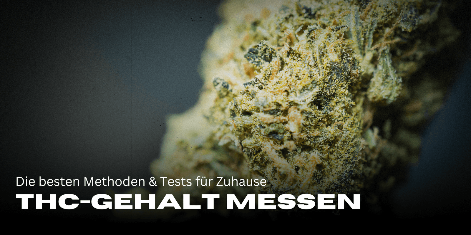 THC-Gehalt zuhause messen