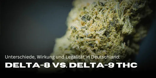 Delta-8 vs. Delta-9 THC: Unterschiede, Wirkung und Legalität in Deutschland-Smagro GmbH