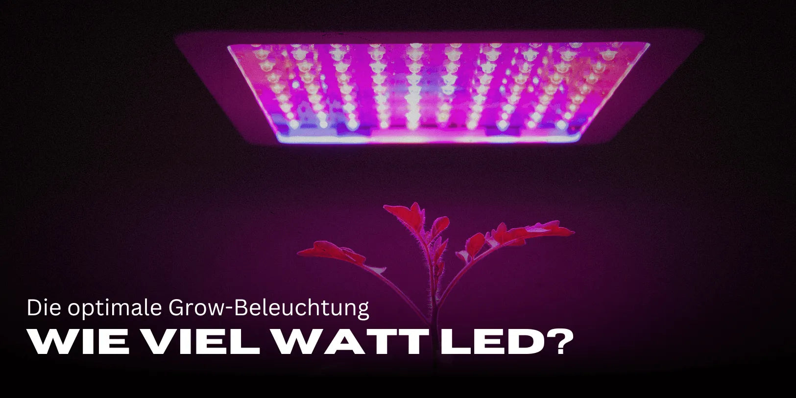 Wie viel Watt LED pro m²?