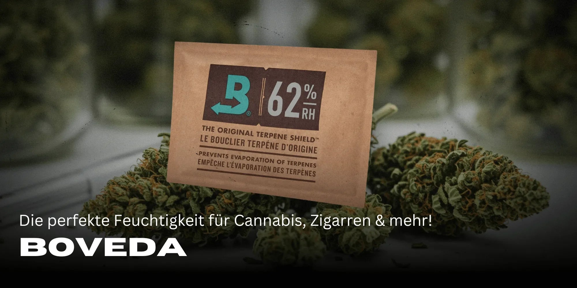 Boveda richtig verwenden: Anleitung für optimale Feuchtigkeitskontrolle-Smagro GmbH