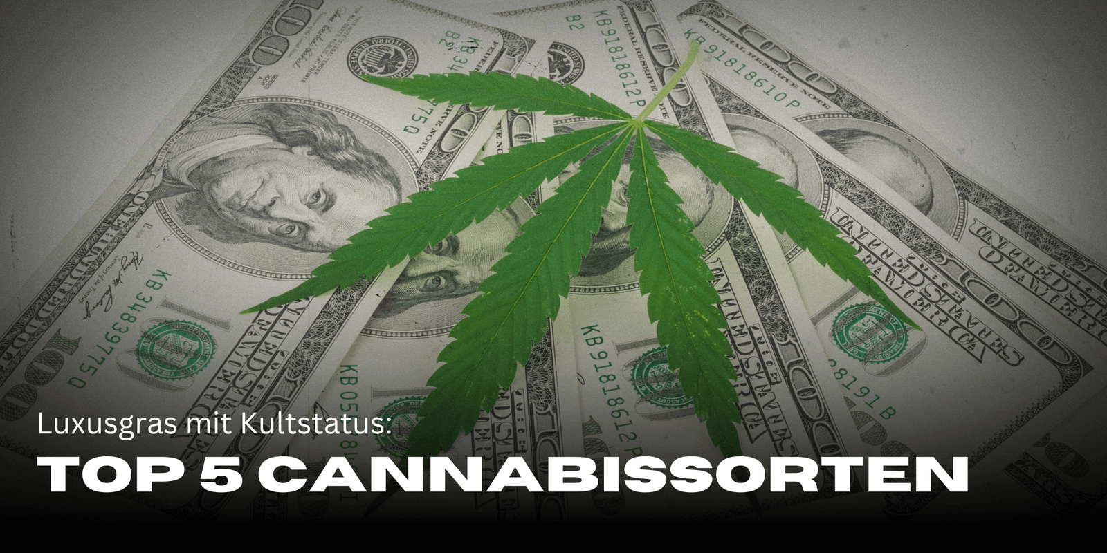 Die teuersten Cannabissorten
