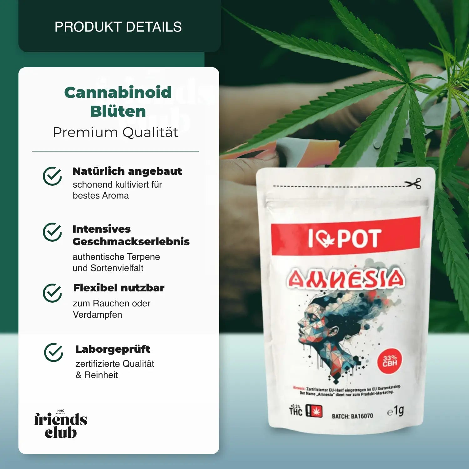 CBH Blüten Amnesia 33% I♥Pot - hhcfriends