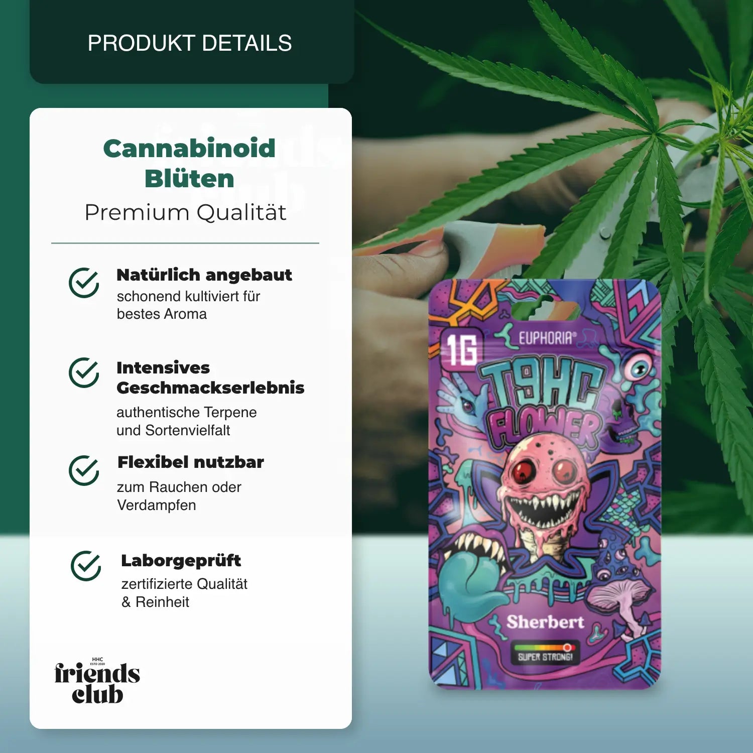 T9HC Blüten Sherbert (1 g) - hhcfriends