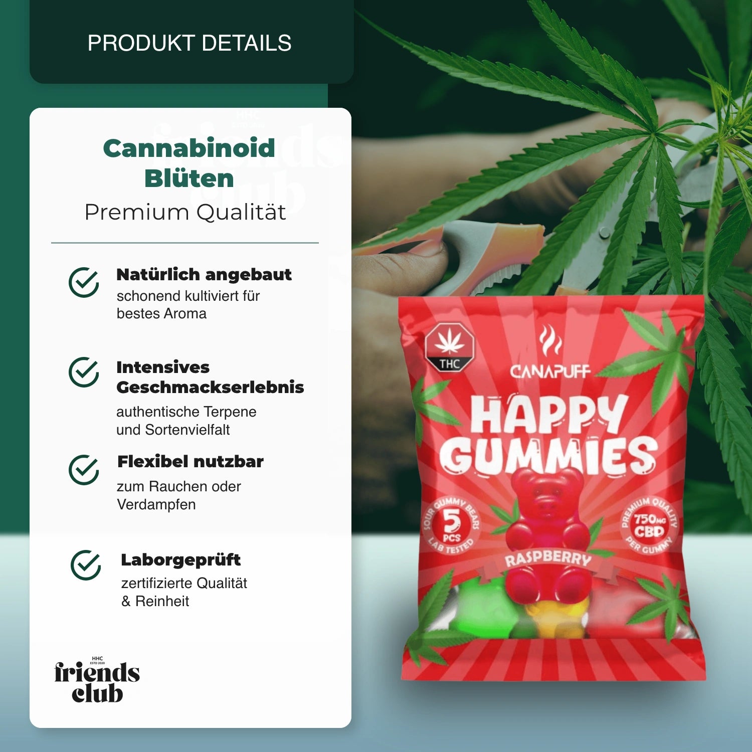 CBD Gummies Raspberry - hhcfriends