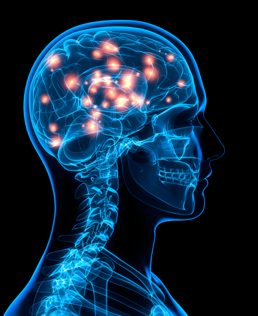 Visualisierung aktives Gehirn bei Stimulation