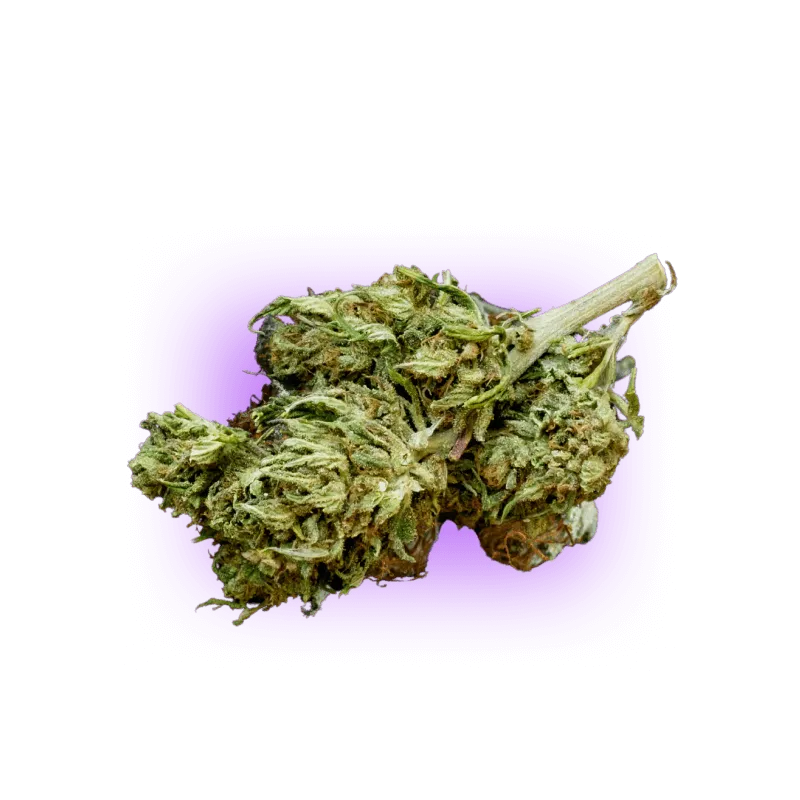 CBD Blüte Super Lemon Haze NO THC-HHCFriends