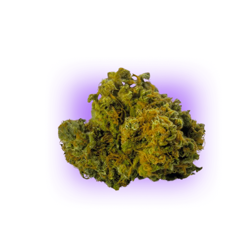 Cannabis Seeds AK47 auto. 3Stück-HHCFriends