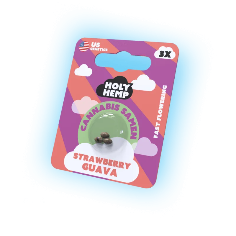 Seeds Strawberry Guava | 3 Samen US Genetics-HHCFriends