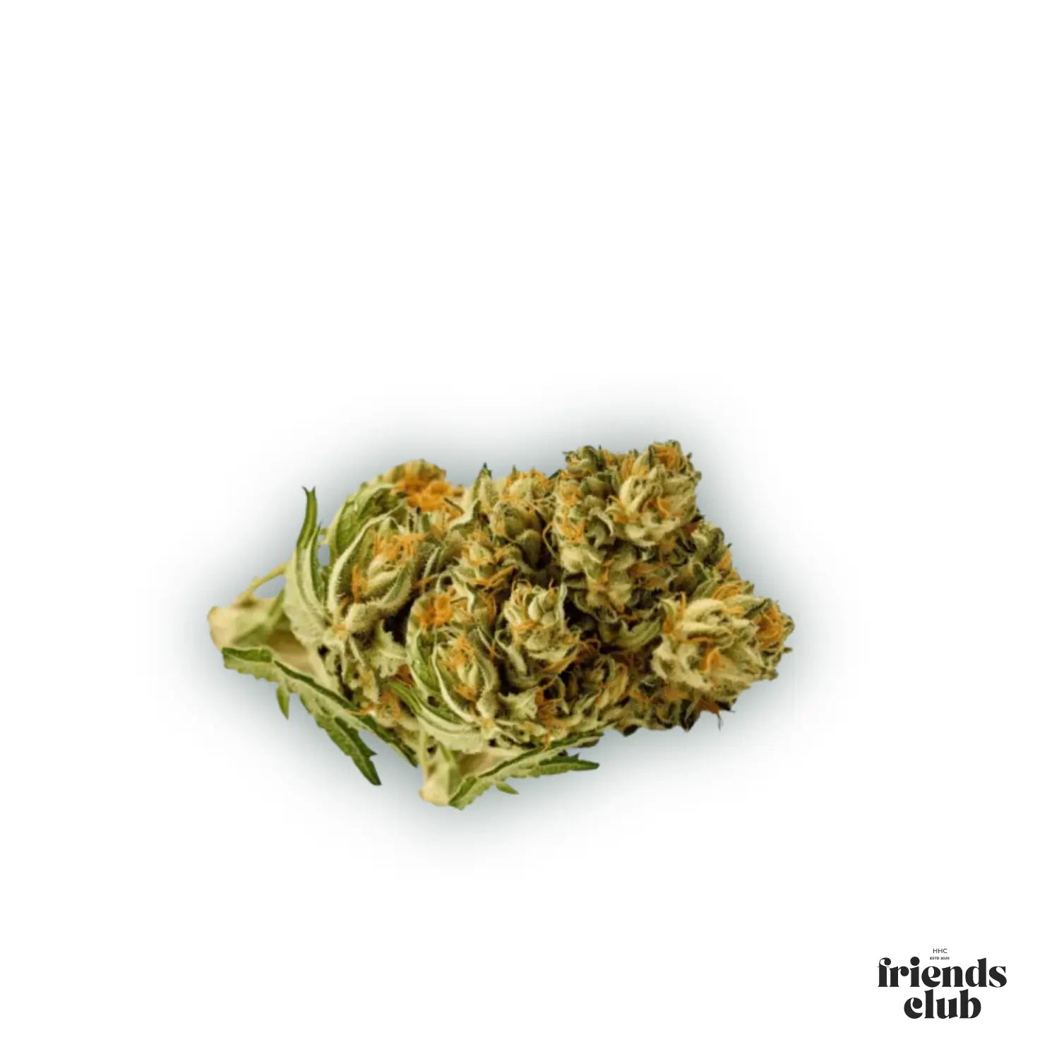 PHC Blüten Plutonium 25%-HHCFriends