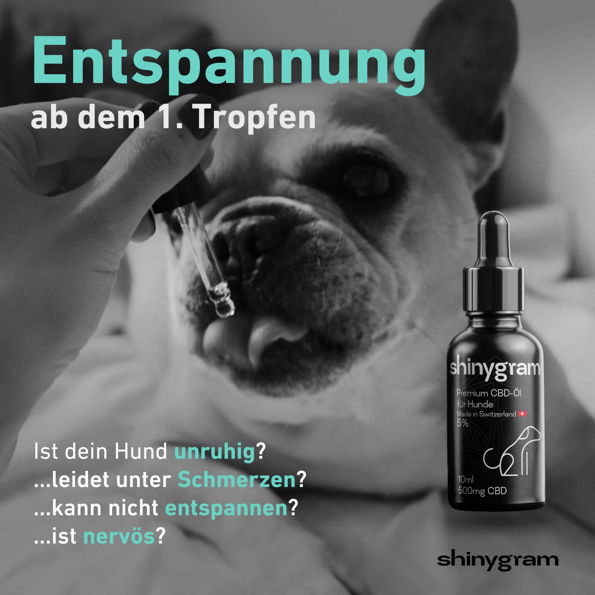 CBD Öl für Hunde 5% HHCFriends