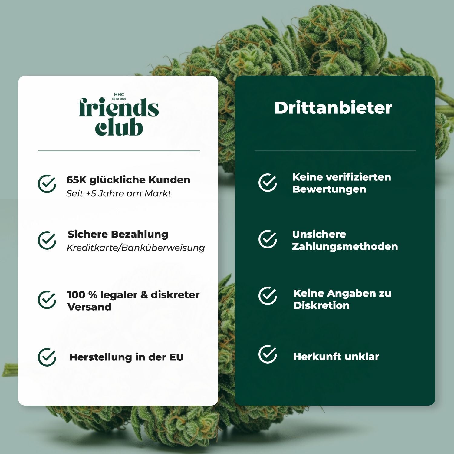 Cannabis Samen Vanilla Gelato 3 Stück HHCFriends
