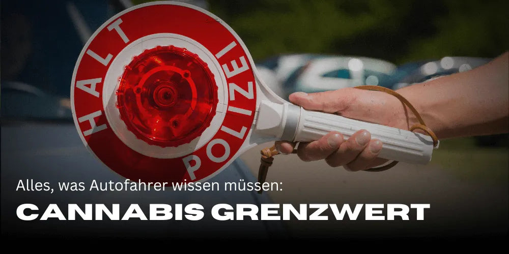 THC-Grenzwert in Deutschland: Alles, was Autofahrer wissen müssen-Smagro GmbH