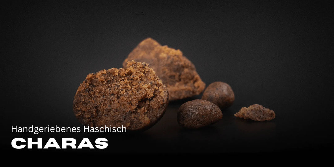 Charas – Handgeriebenes Haschisch aus dem Himalaya 🌿
