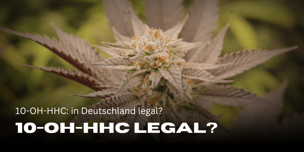 10-OH-HHC: legaal in Duitsland? 