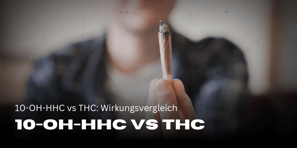 10-OH-HHC vs THC: Wirkungsvergleich | HHC Friends