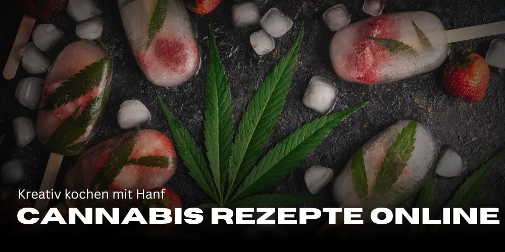 Cannabis Rezepte online: Kreativ kochen mit Hanf