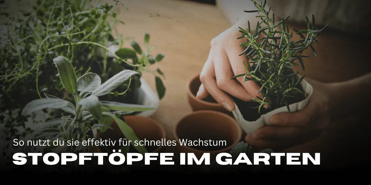 Stopftöpfe im Garten: So nutzt du sie effektiv für schnelles Wachstum