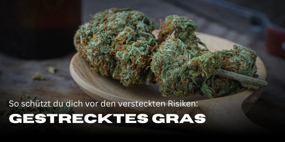 Gestrecktes Gras: So schützt du dich vor den versteckten Risiken-Smagro GmbH