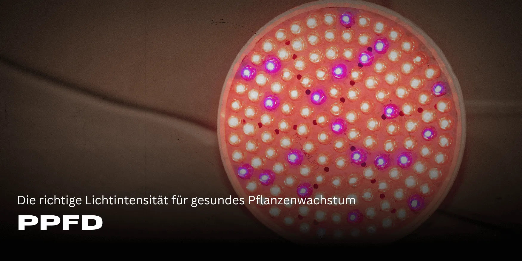 PPFD: Die richtige Lichtintensität für gesundes Pflanzenwachstum-Smagro GmbH