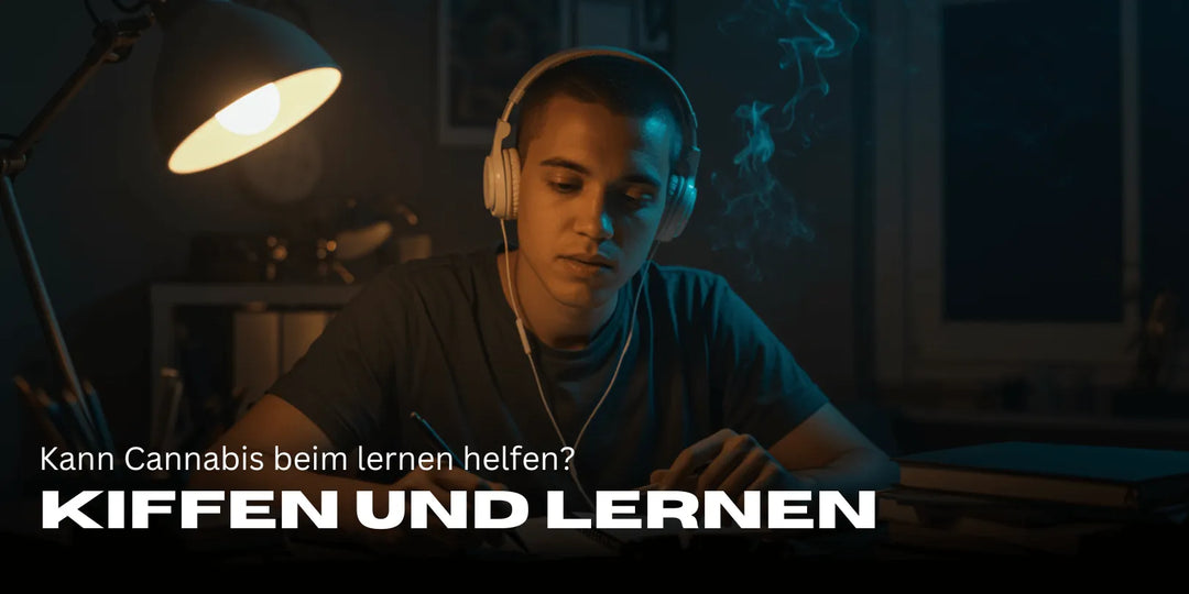 Kiffen und Lernen: Kann Cannabis beim Studieren helfen oder schadet es mehr?