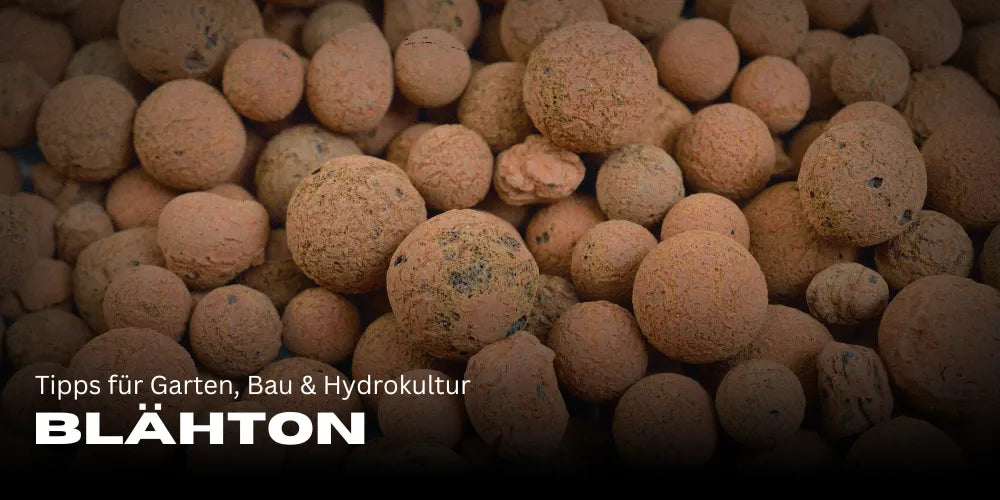 Blähton richtig verwenden: Tipps für Garten, Bau & Hydrokultur