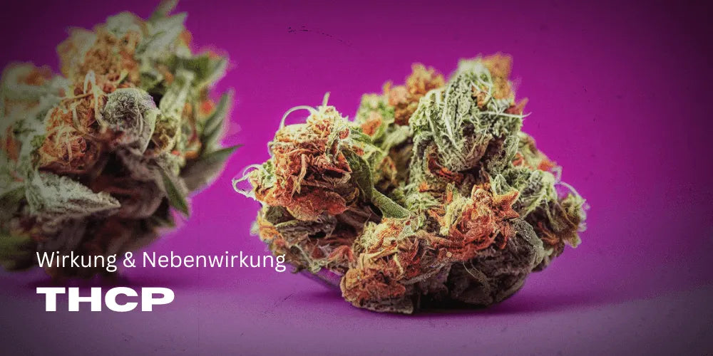 THCp – Guide: Wirkung & Nebenwirkung