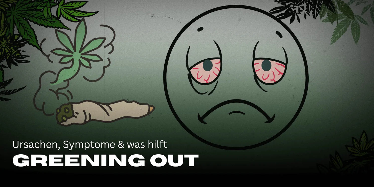 Greening Out: Ursachen, Symptome & was hilft 🚀-Smagro GmbH