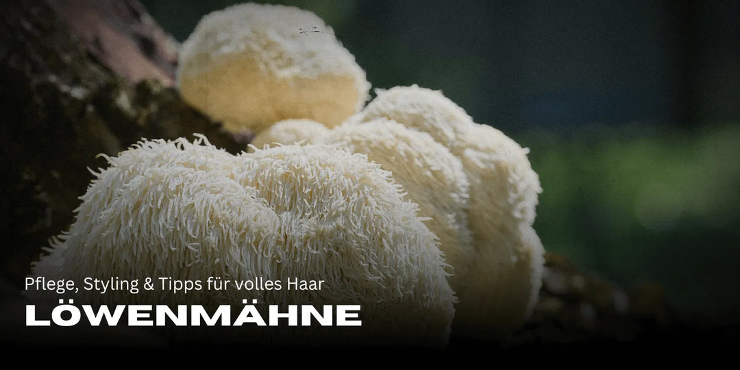 Löwenmähne – Pflege, Styling & Tipps für volles Haar