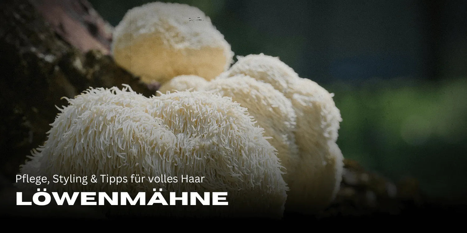 Löwenmähne – Pflege, Styling & Tipps für volles Haar-Smagro GmbH