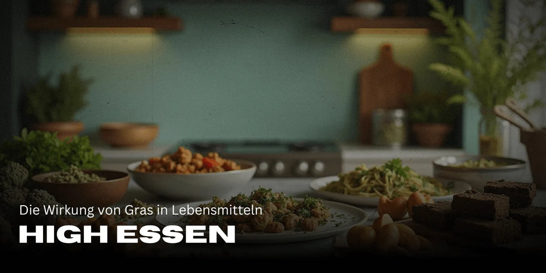 High Essen: Die Wirkung von Gras als Lebensmittel und was du wissen solltest