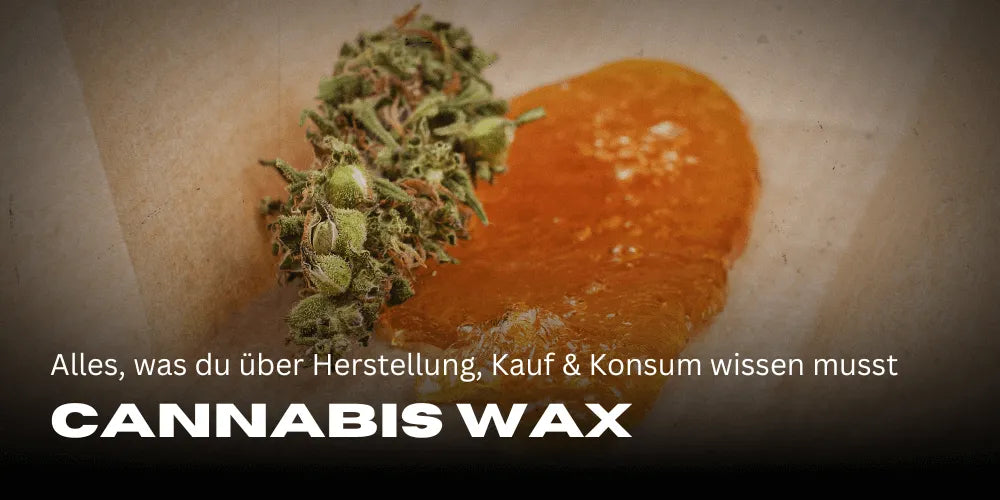 Cannabis Wax: Alles, was du über Verwendung und Vorteile wissen musst