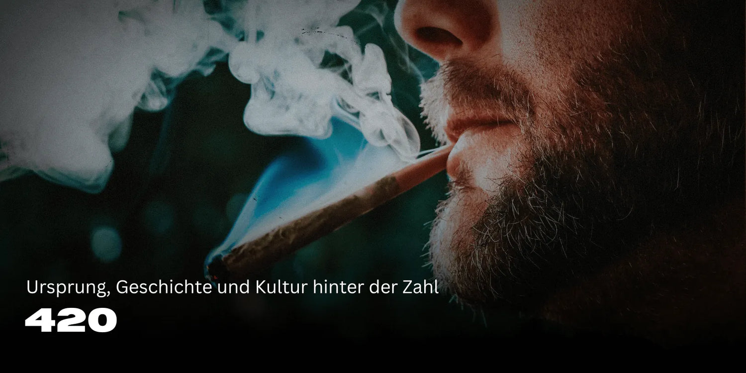 420 Bedeutung: Ursprung, Geschichte und Kultur hinter der Zahl 🌿