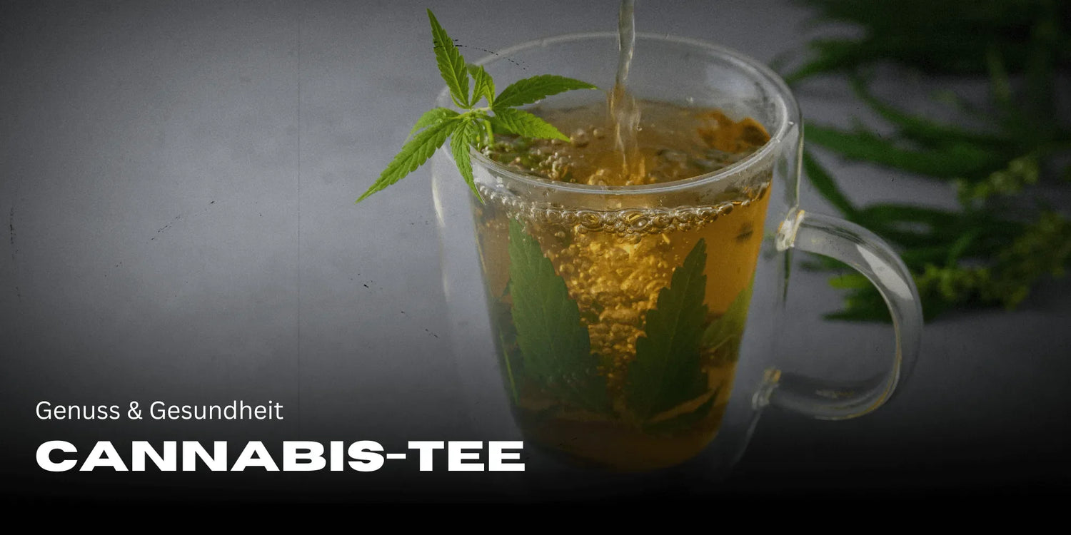 Cannabis-Tee: Genuss & Gesundheit in einer Tasse
