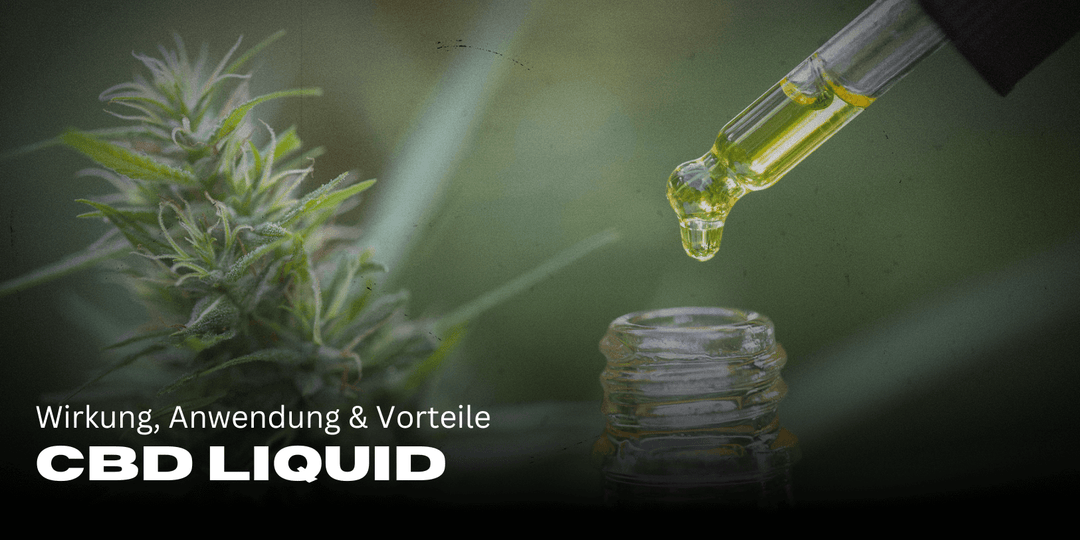 CBD Liquid: Effect, application & benefits at a glance