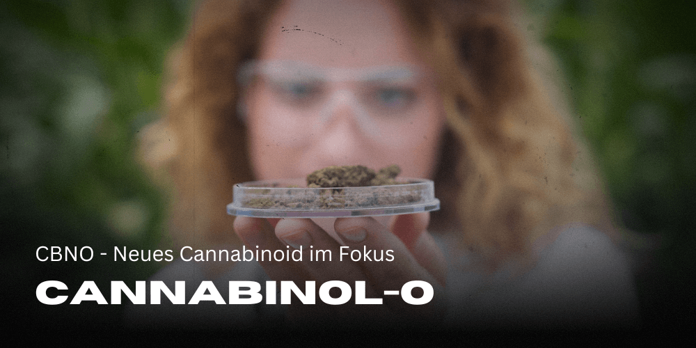 CBNO - Toepassing Effect & potentieel 