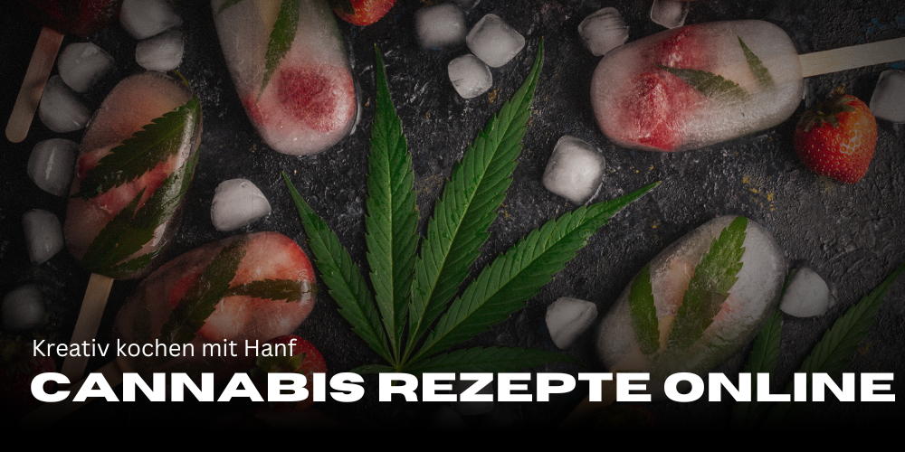 Cannabis Rezepte online: Kreativ kochen mit Hanf