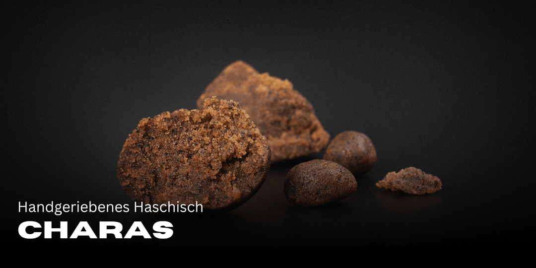 Charas - Handgewreven hasj uit de Himalaya 🌿